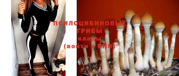 трава Кинешма