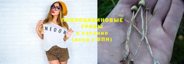 спайс Киреевск