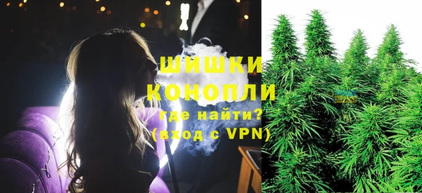 хмурый Кирс