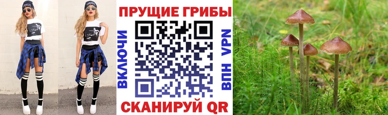 гидра как зайти Мелеуз Галлюциногенные грибы ЛСД
